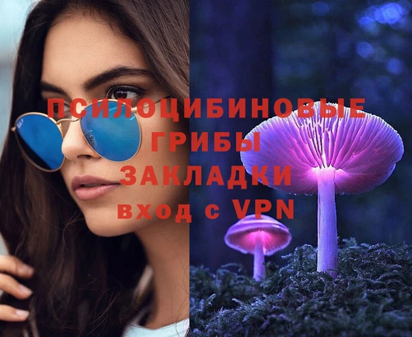 2c-b Беломорск