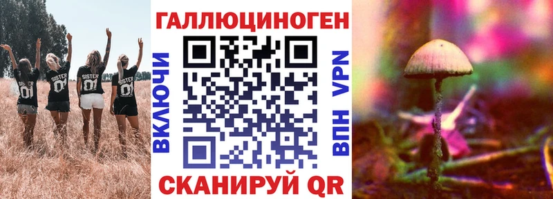 Псилоцибиновые грибы GOLDEN TEACHER Сковородино